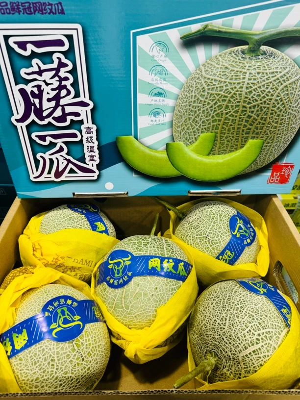 海南网纹梅龙瓜2个6-7斤