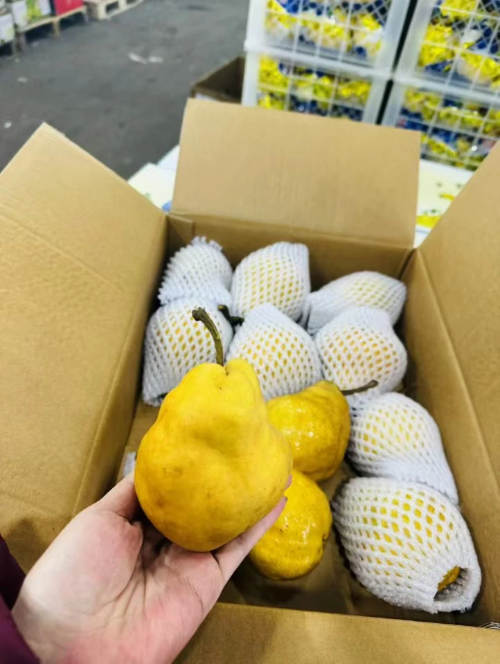 文登丑梨6.5斤礼盒