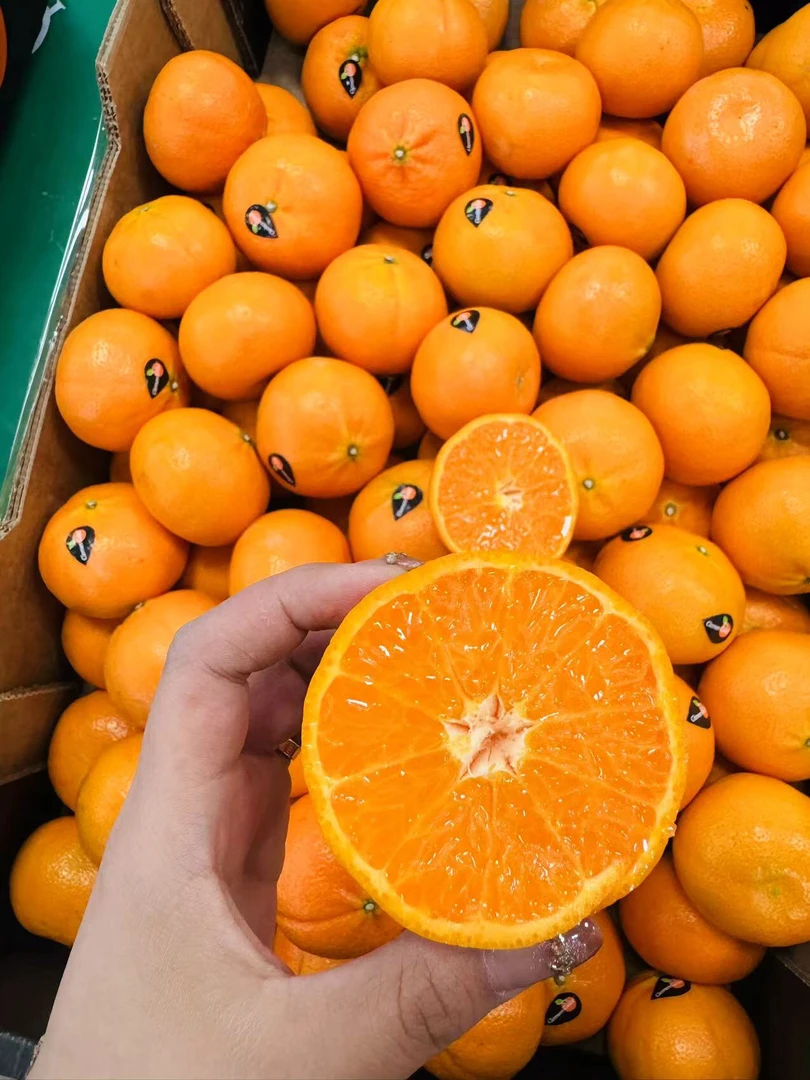 澳洲黑标冰淇凌橘子3斤