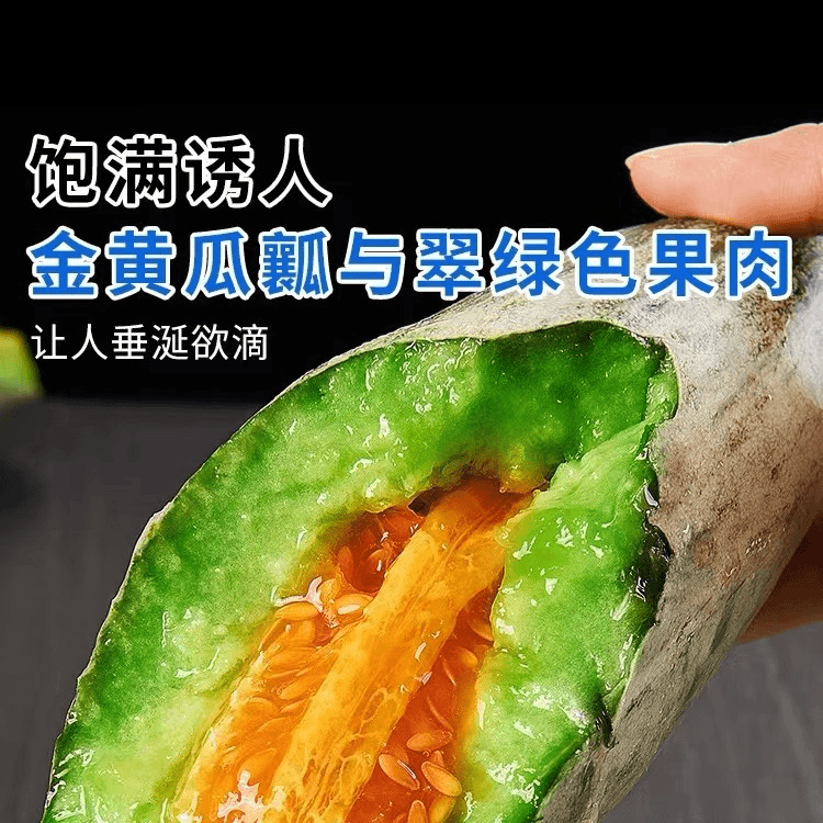 山东头茬羊角蜜甜瓜  应季新鲜水果 脆甜蜜瓜 5斤装 送礼佳品