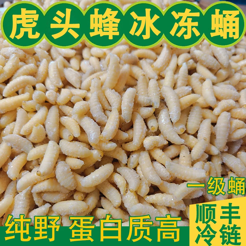 1新鲜冰冻虎头蜂蛹胡蜂虫蛹野蜂拥树蜂一二级冰冻蜂蛹1斤黄牛蜜