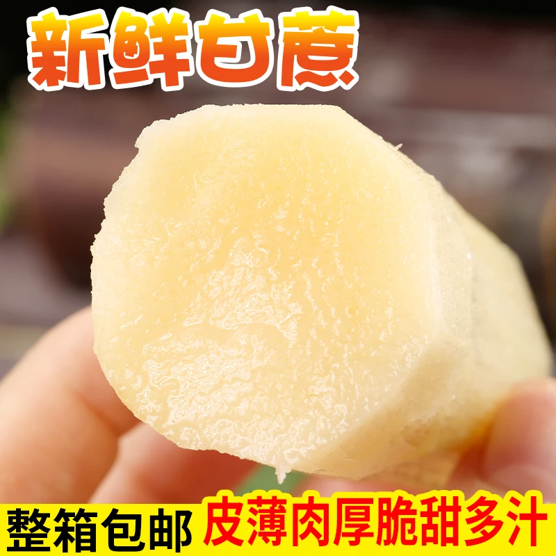 【限量】贵州紫皮甘蔗新鲜现砍整箱孕妇水果应季榨汁脆甜杆批发