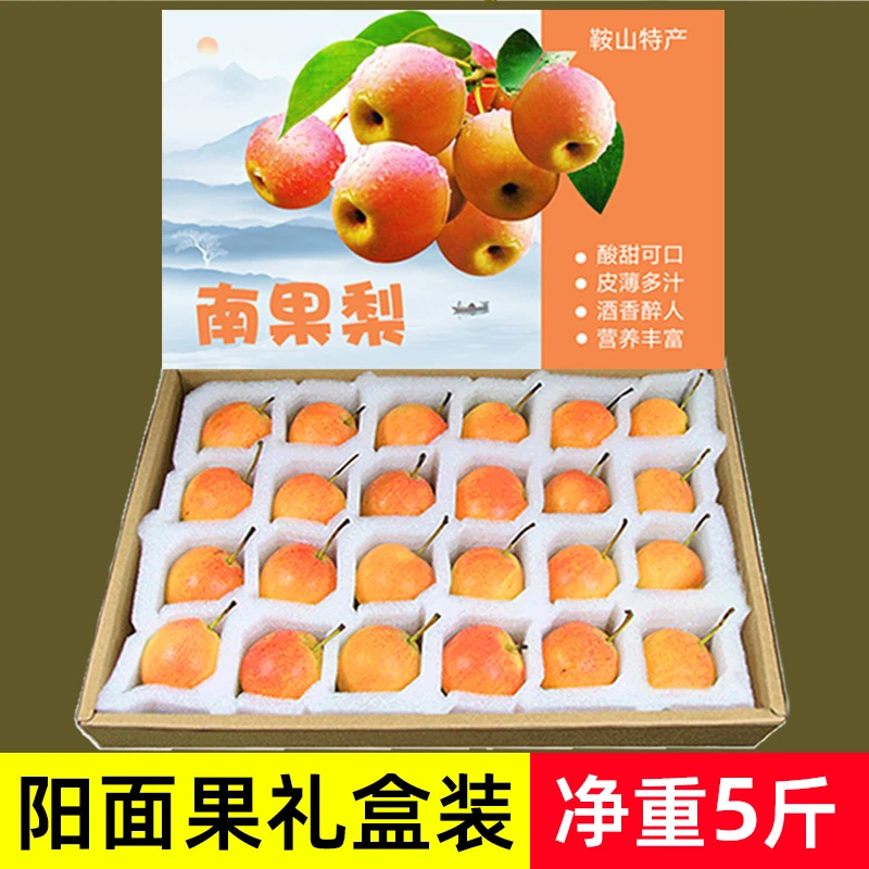 鞍山南果梨5斤礼盒装顺丰包邮东北特产正宗水果新鲜采摘酸甜口感
