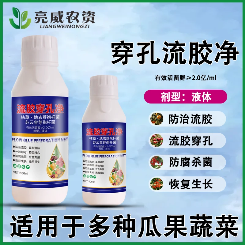 山西郭老师【粉丝福利】流胶净桃树李子杏树黄瓜活菌穿孔通用菌剂