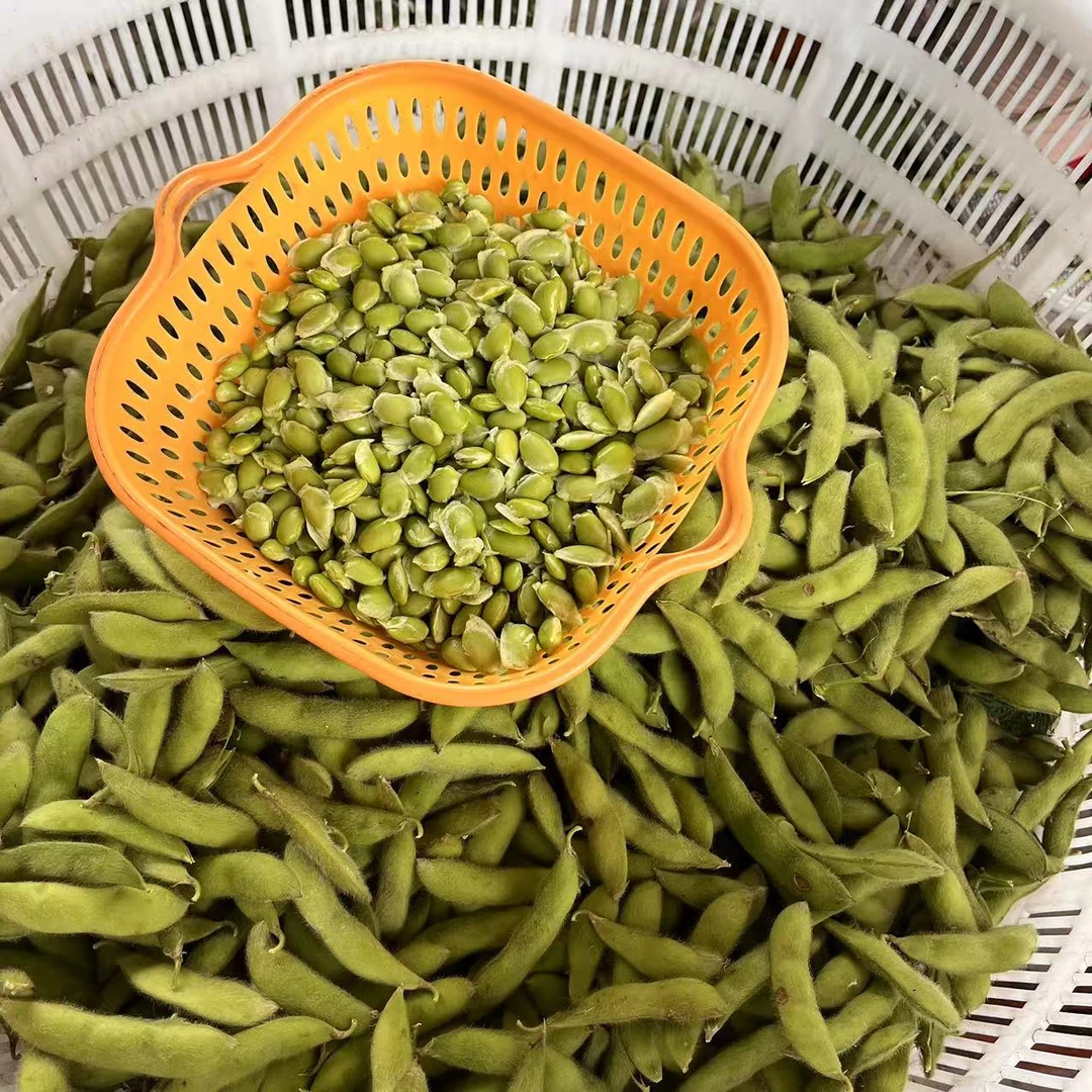 安徽无为特产毛豆八月大谷豆新鲜现摘农家自种带壳青豆2斤起包邮
