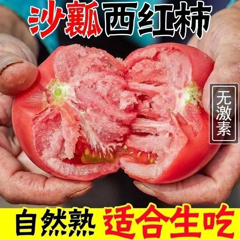 儿时味道 沙瓤西红柿新鲜采摘生吃番茄4.5斤酸甜多汁（陕西发货 ）