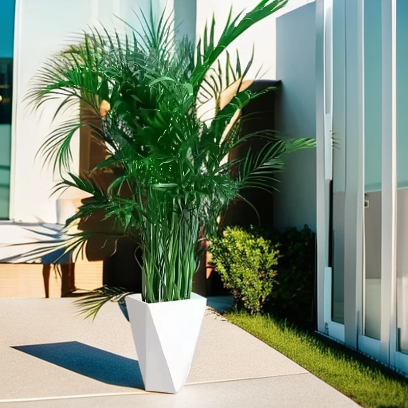 富贵椰子树1米-1.2米室内大型绿植盆栽净化空气四季常青