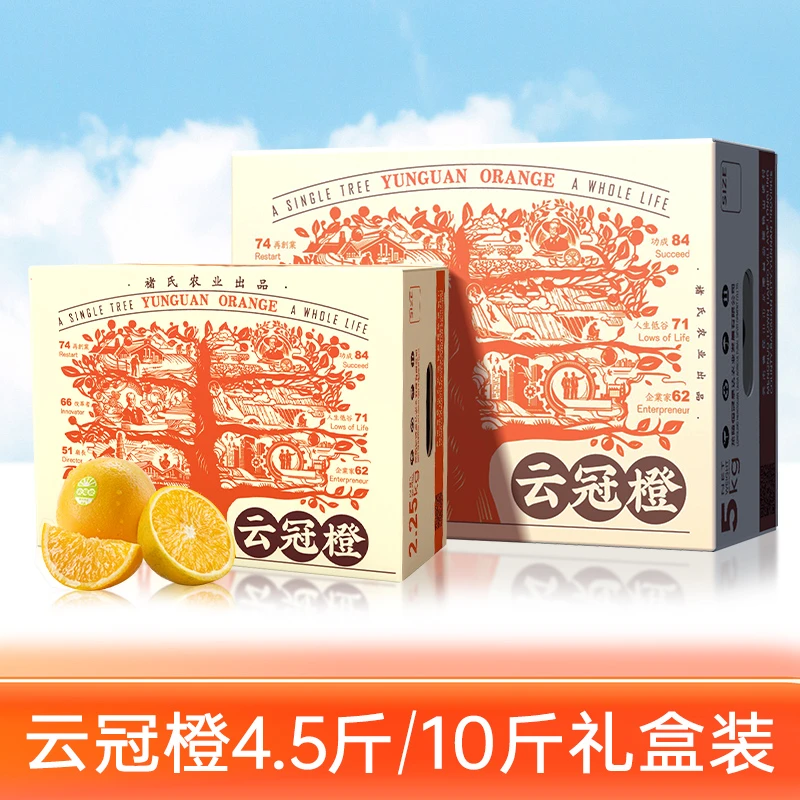 云冠橙褚氏农业出品 云南冰糖橙  4.5斤/10斤 橙子水果礼盒装