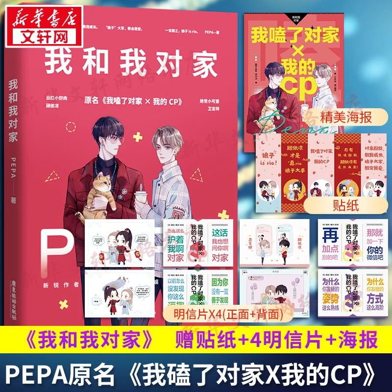 我和我对家  青春小说