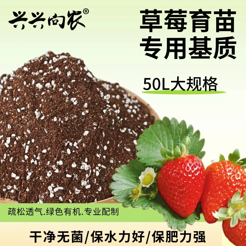 兴农草莓育苗基质专用型营养土阳台草莓有机土家用专用种植盆栽土