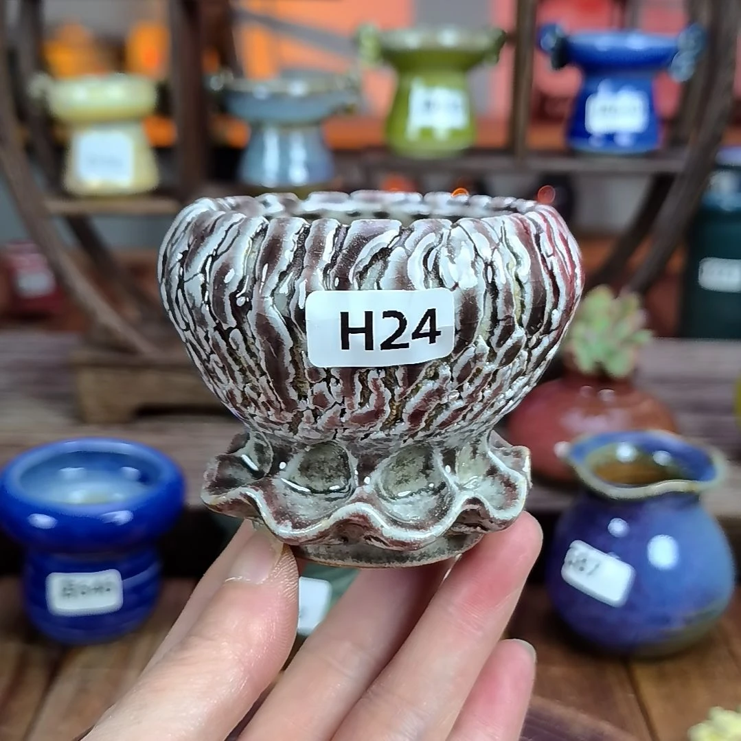 拇指花盆编号H24