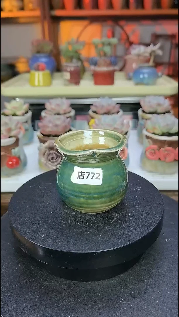 【闪购商品】拇指花盆编号772