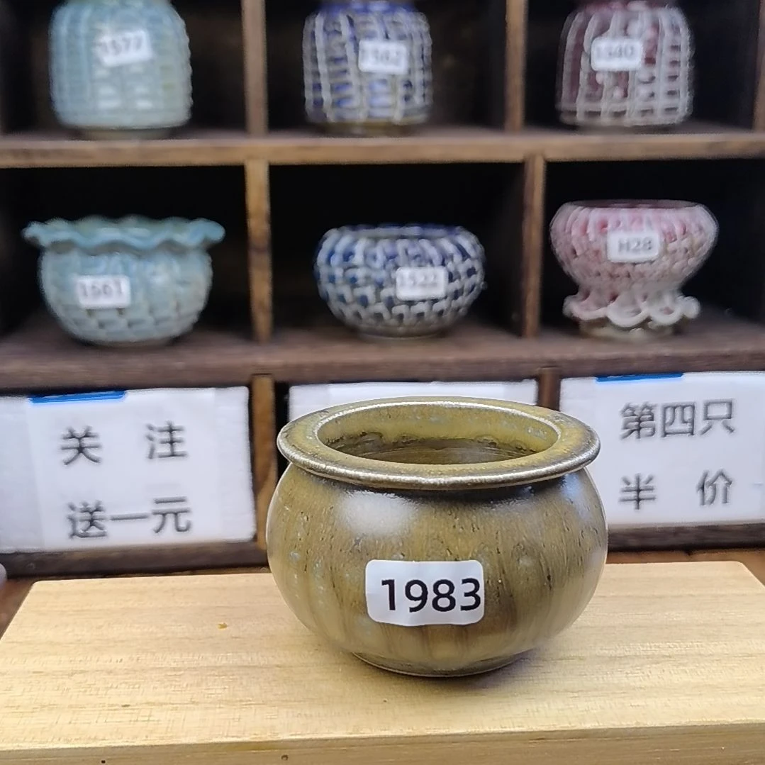 美玲拇指花盆 1983
