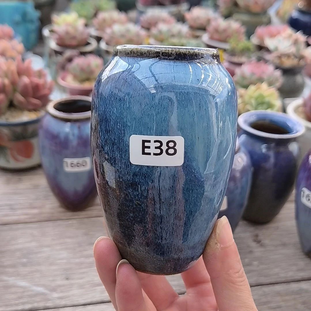 阿***巴拇指花盆编号E38