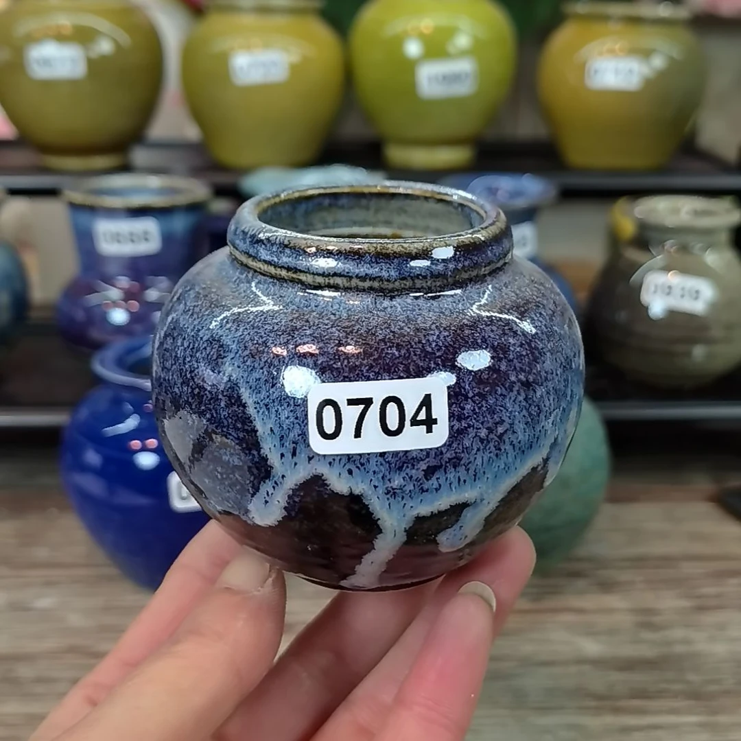 拇指花盆编号 0704