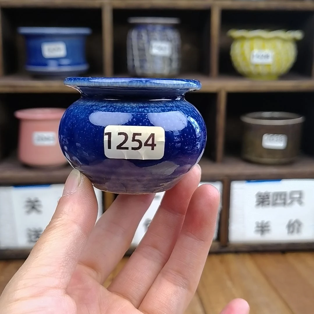 美玲拇指花盆 1254