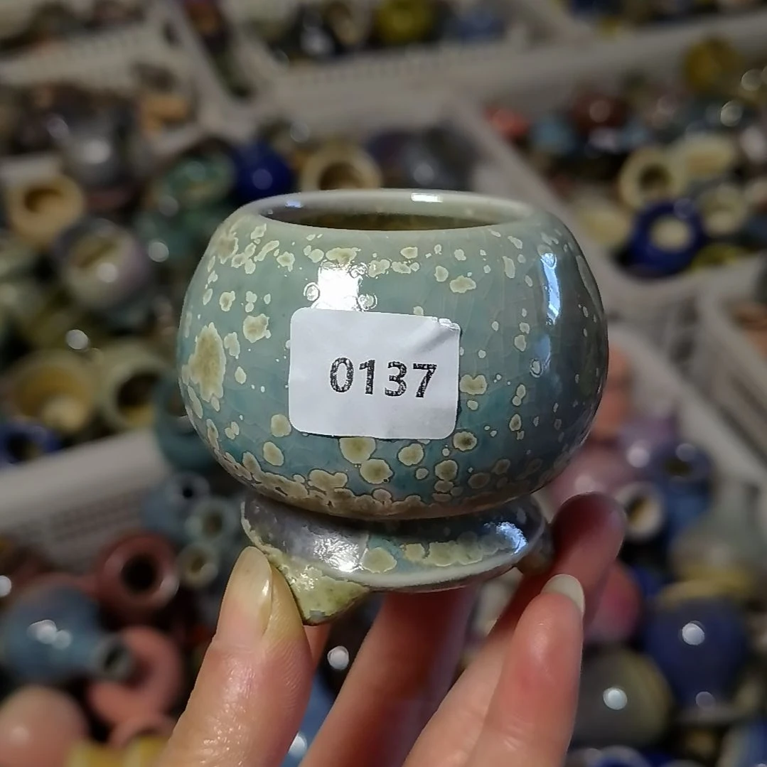 拇指花盆编号137