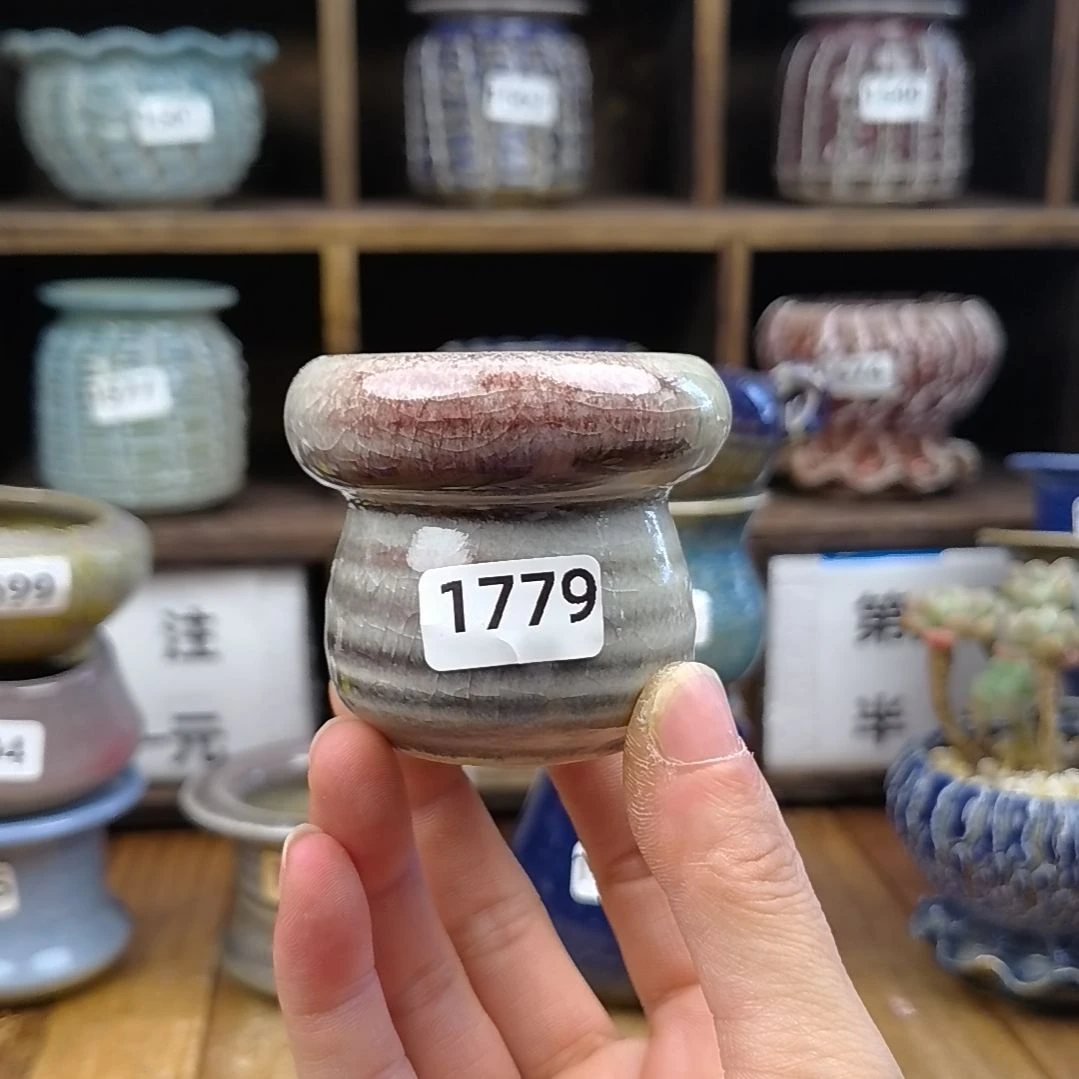 蒲****h美玲拇指花盆半价