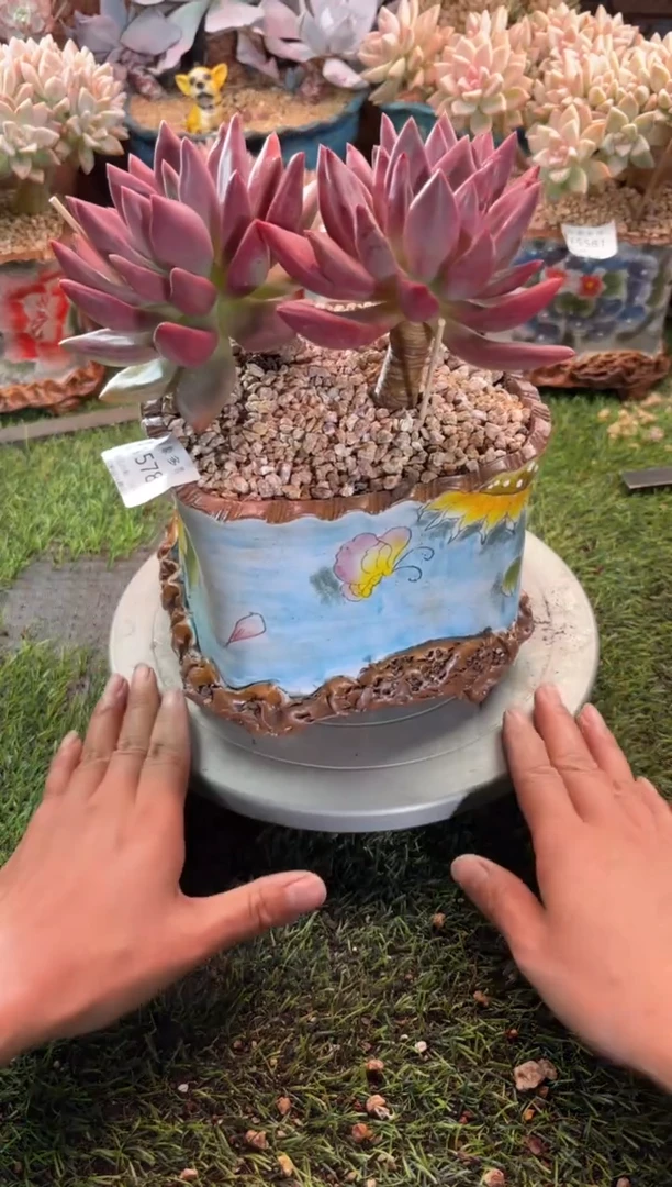 【闪购商品】15783