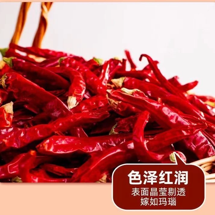 新鲜干辣椒中辣特香红辣椒贵州特产朝天椒100g包邮