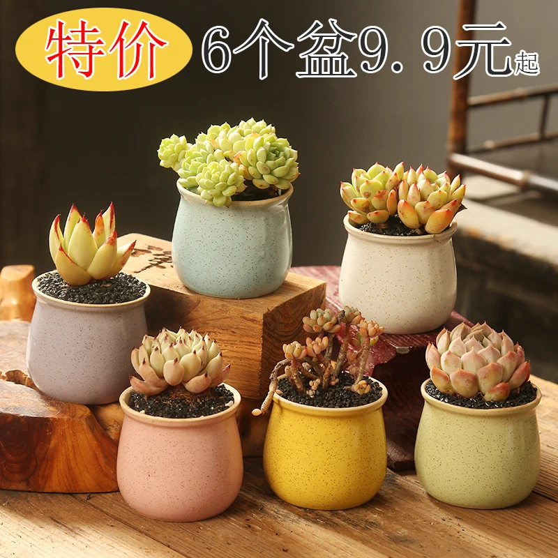 厂家多肉花盆陶瓷粗陶复古创意大小口径简约家用植物花盆