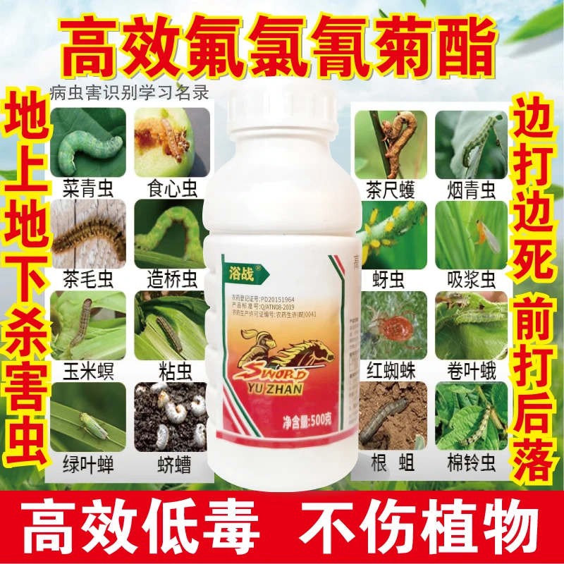 高效氯氟氰菊地上下害虫果树蔬菜花卉小麦蚜虫农药大全杀虫剂通用