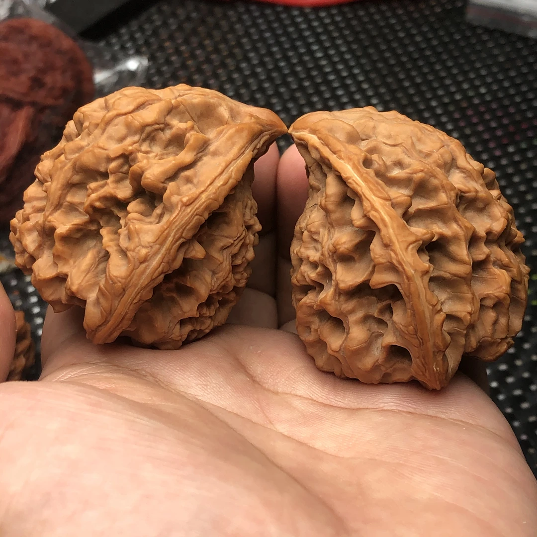 文玩核桃异形蛇头尺寸50微修白茬