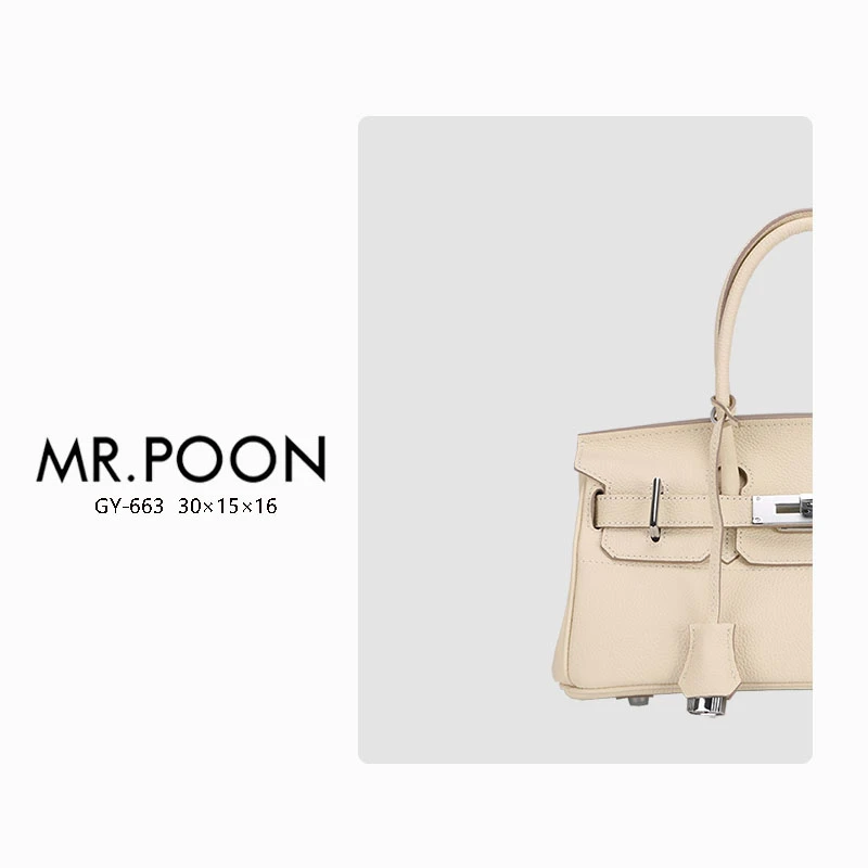 Mr.Poon/潘先生新款冬季时尚单肩包小众百搭女包现货