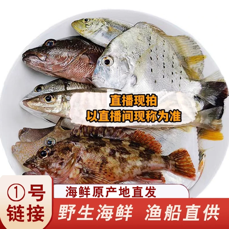 【1号链接】直播间海鲜螃蟹鱼虾500克顺丰发货新鲜到家
