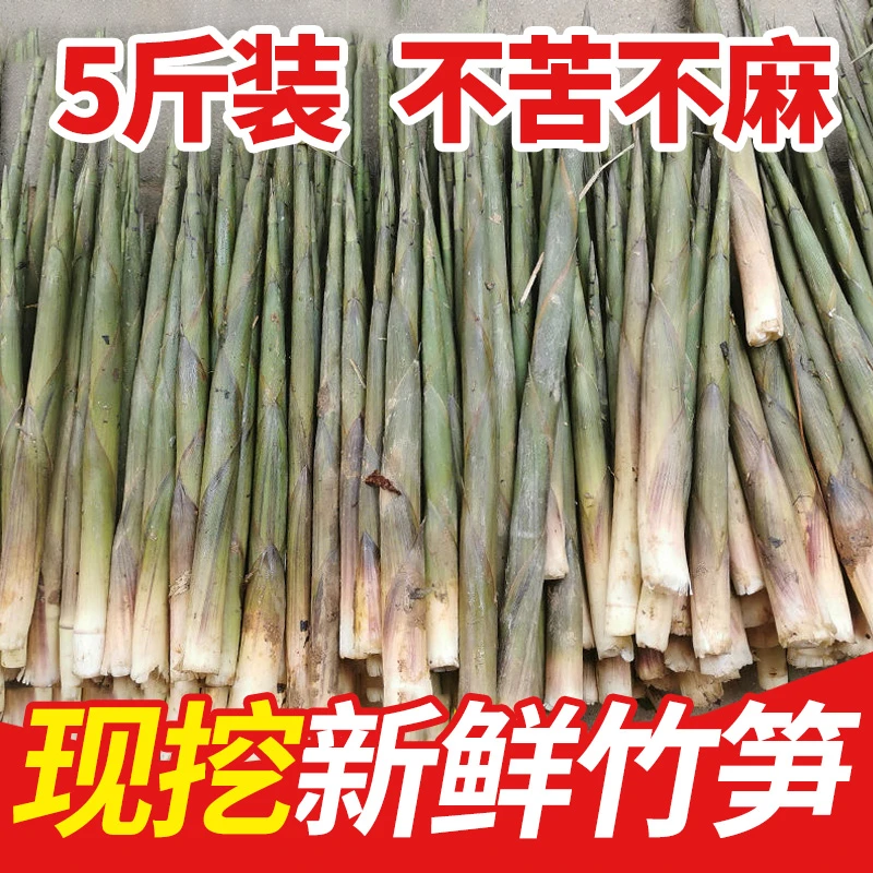鲜竹笋野生小竹笋春笋小笋子山笋剥笋嫩笋小甜笋3斤/5斤