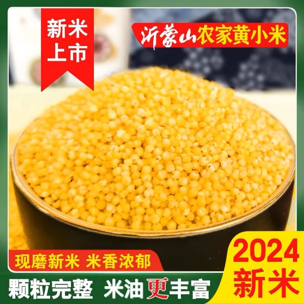 桶装2024沂蒙山地新小米5斤 农家新米 香糯出油可试喝1