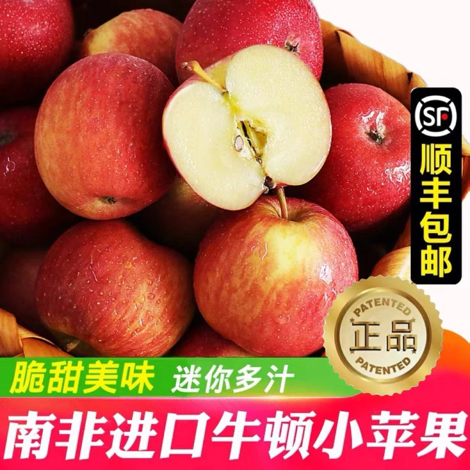 南非牛顿小苹果6个起单果100-110g 进口脆甜富士迷你苹果新鲜水果