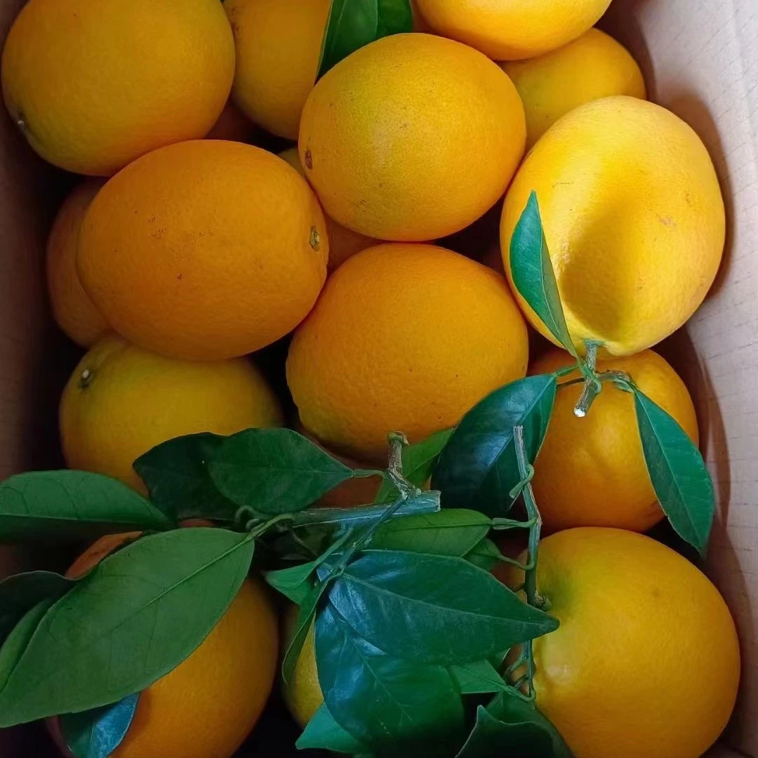 江西赣南脐橙橙子新鲜水果当季整箱10斤正宗精品大果赣州甜橙