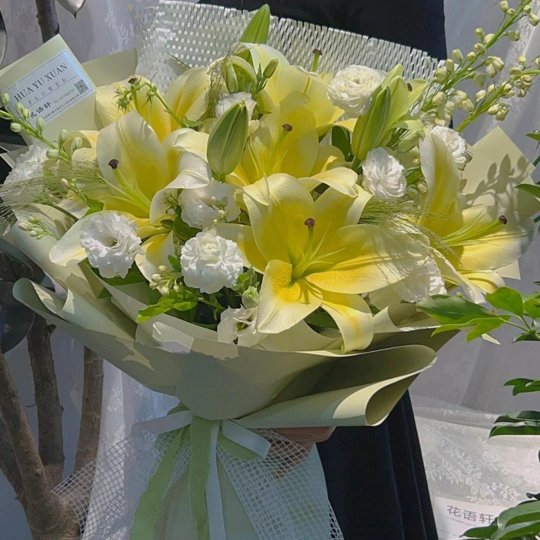 黄帝香水百合东北凌源原产地鲜切花