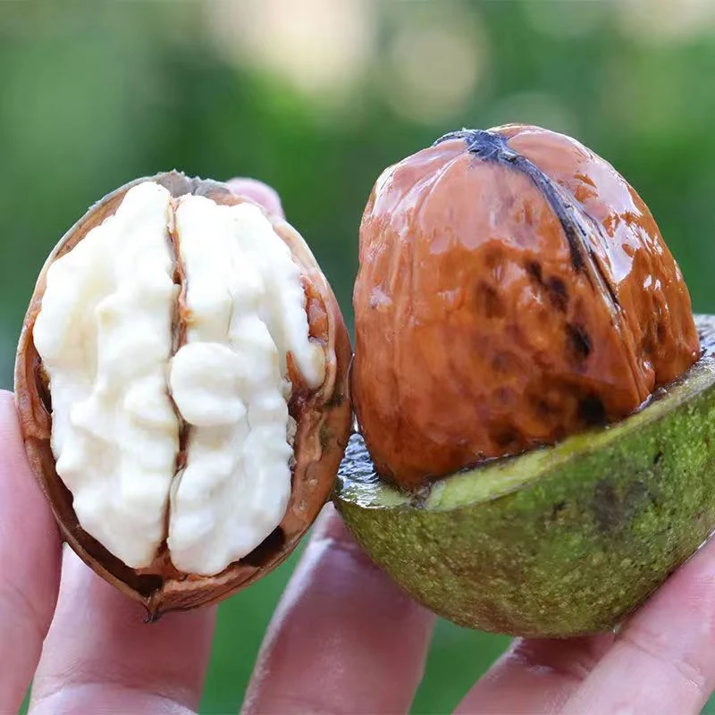 2024年新鲜湿核桃手工去青皮无漂白薄壳大果老人孕妇小孩零食