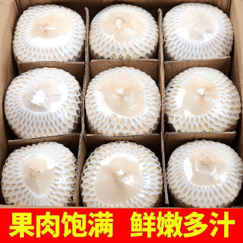 【小徐】椰子批发椰青海南特产新鲜水果椰皇毛椰榨椰汁椰肉大果香