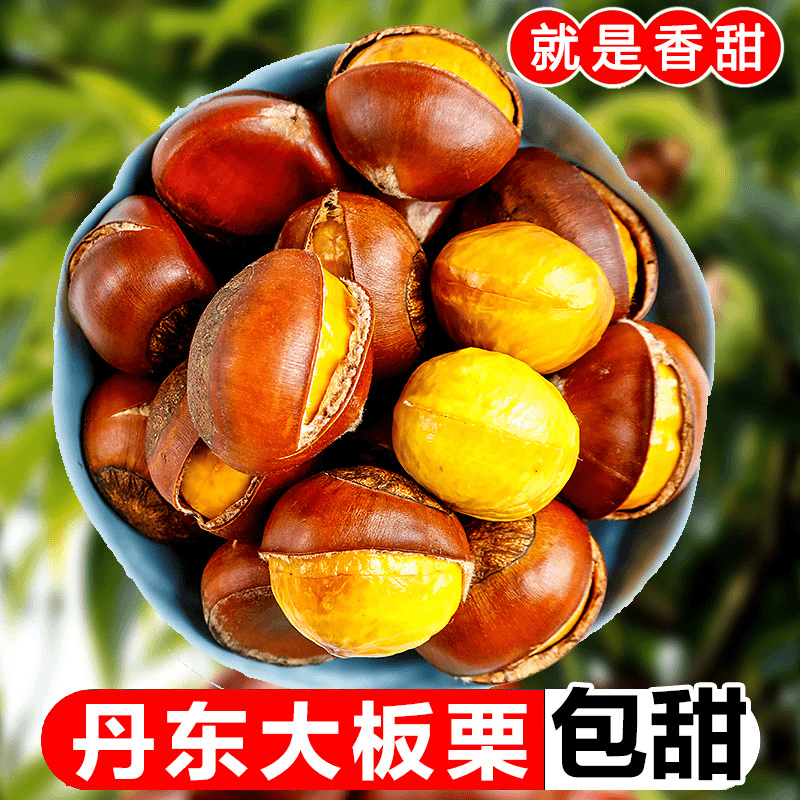 【小徐】新鲜丹东大板栗鲜栗子生嫩板粟板票生锥油野生栗