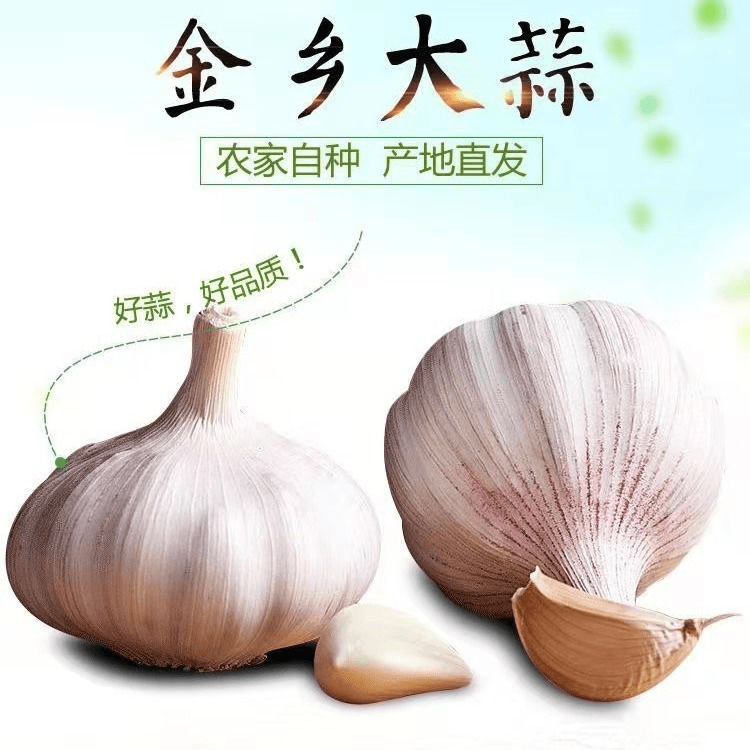 【小徐】包邮常温新上干大蒜头全年装紫皮红皮金乡新鲜产地直发蒜