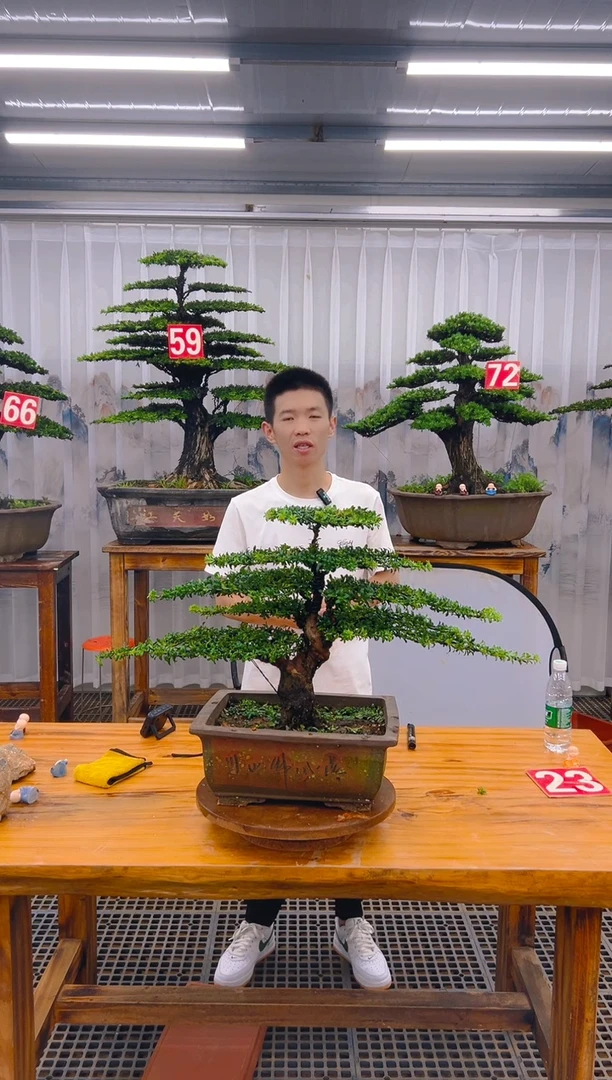 【闪购商品】紫砂精品盆景直播间一物一拍