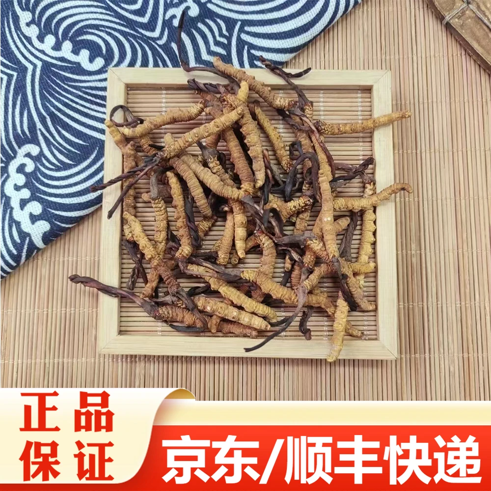 【精选无硫】丛林夏草草（1.5k）10克/ 20克/ 50克（ 新草）胶