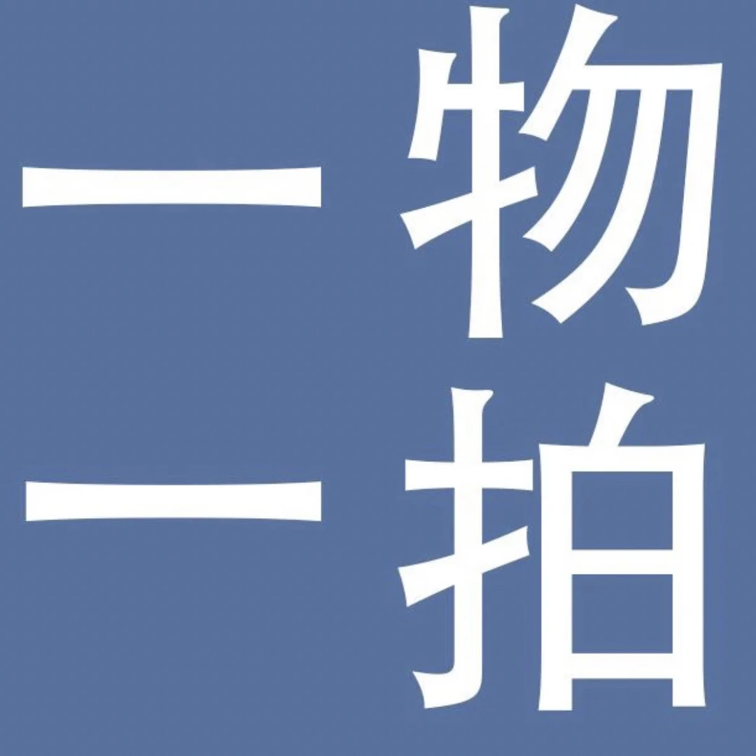 虎哥植园 白龟 黄龟 洒金 白怪兽 室内客厅阳台耐阴观叶盆栽植物