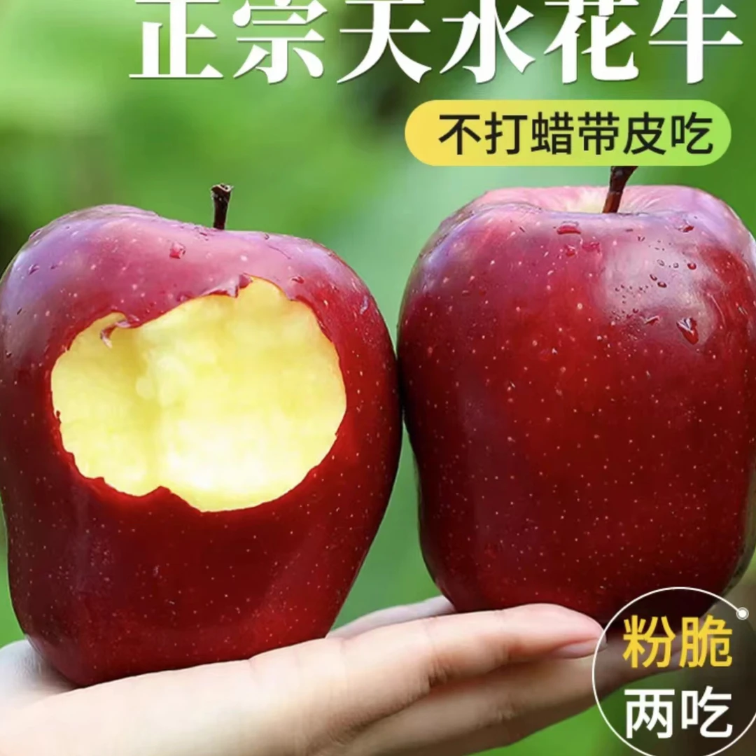 天水花牛苹果香甜多汁新鲜多仓发货带箱9-10斤