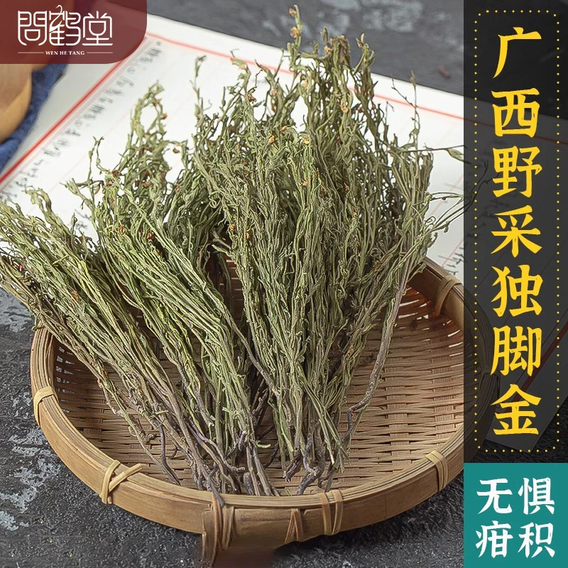 新货独脚柑独角金疳积草消积汤中草药小孩儿开胃煲汤消积茶无硫