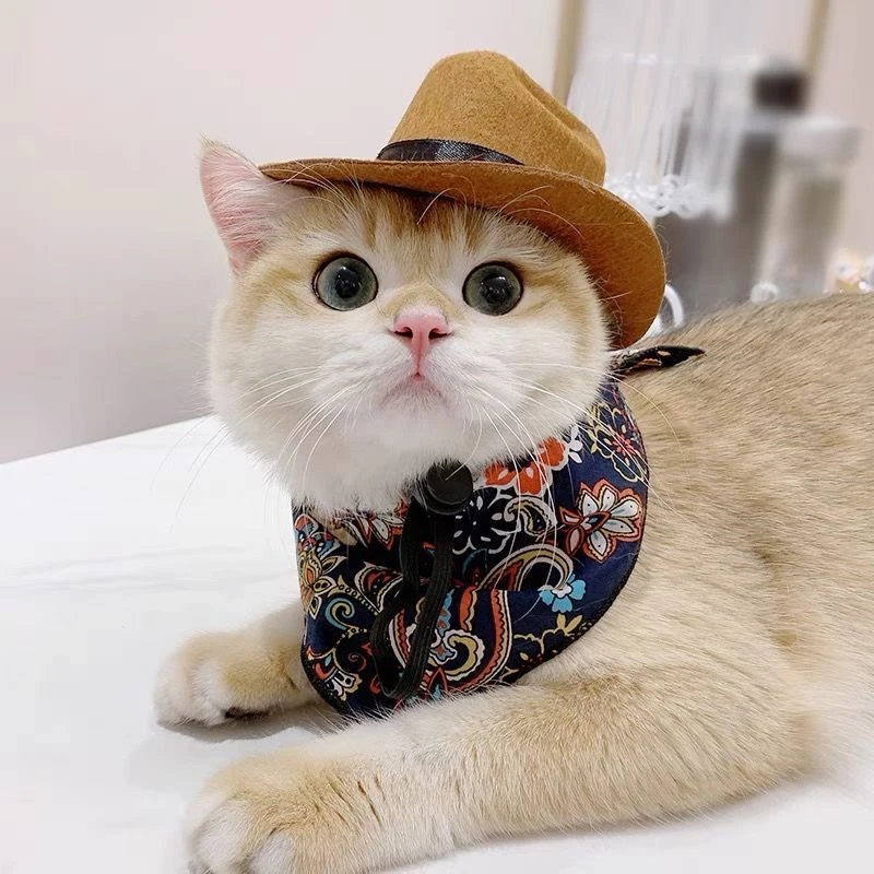 猫咪帽子牛仔帽宠物头饰品西部帽拍照狗狗小型犬头盔可爱宠物帽子