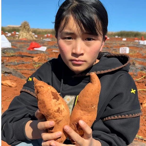 高原黄金榴莲蜜薯（软糯香甜）