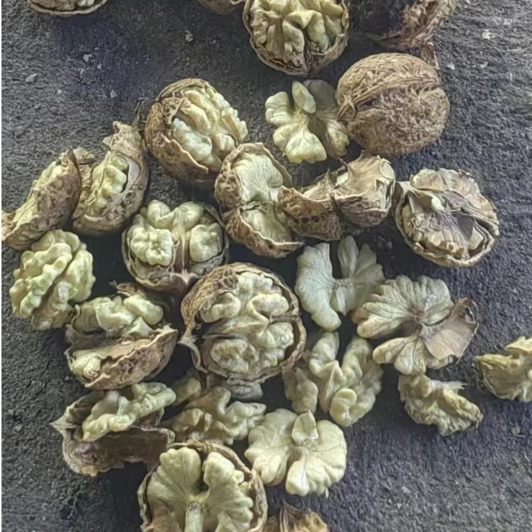 高山老树干核桃新货