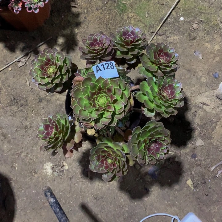 腾****司未知名128000000000