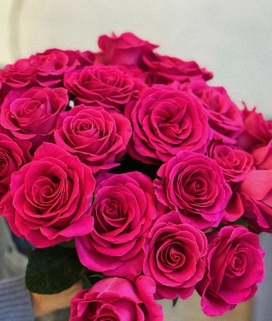 【弗洛伊德】10枝玫瑰|全场任意两单鲜花升级顺丰快递