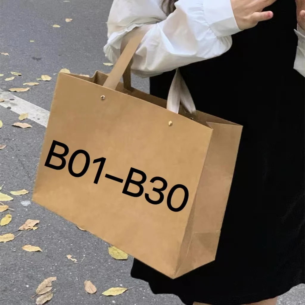 【在这里拍】轻奢款 腋下款肩包（1号）