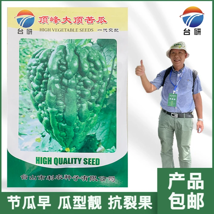 台研顶峰种植蔬菜大顶苦瓜可以出口大果形春季秋季育苗均可播种